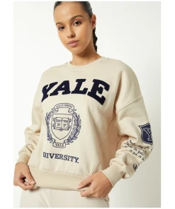 Women Chenille Embroidered Boxy Fit Sweatshirt